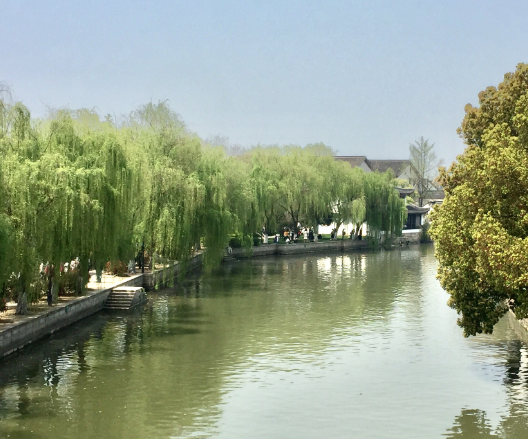 16君上1.jpg 16君上1.jpg