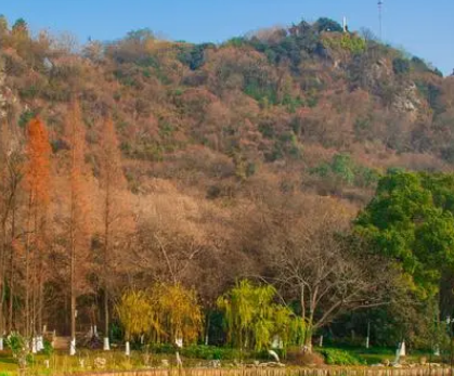 16君上2.jpg 16君上2.jpg